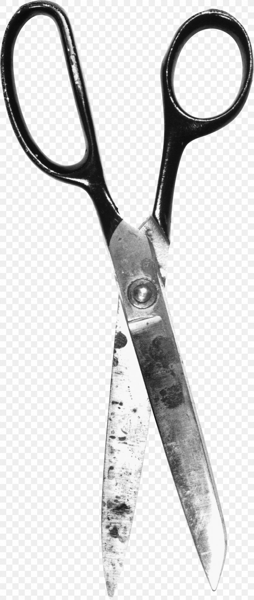 Scissors Photography Hair-cutting Shears Clip Art, PNG, 1503x3546px, Scissors, Channel, Digital Image, Hair Shear, Haircutting Shears Download Free