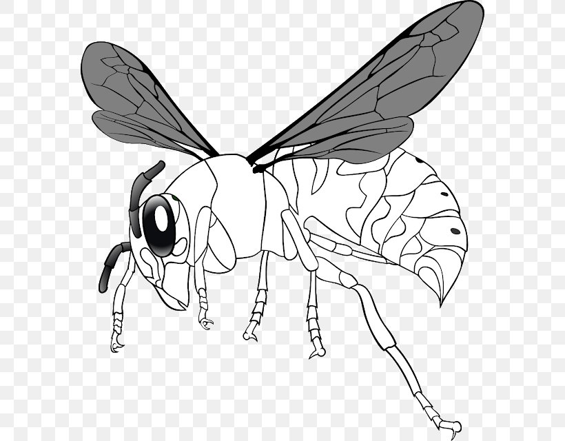 Hornet Western Honey Bee Clip Art Insect, PNG, 586x640px, Hornet, Arthropod, Bee, Blackandwhite, Carpenter Bee Download Free