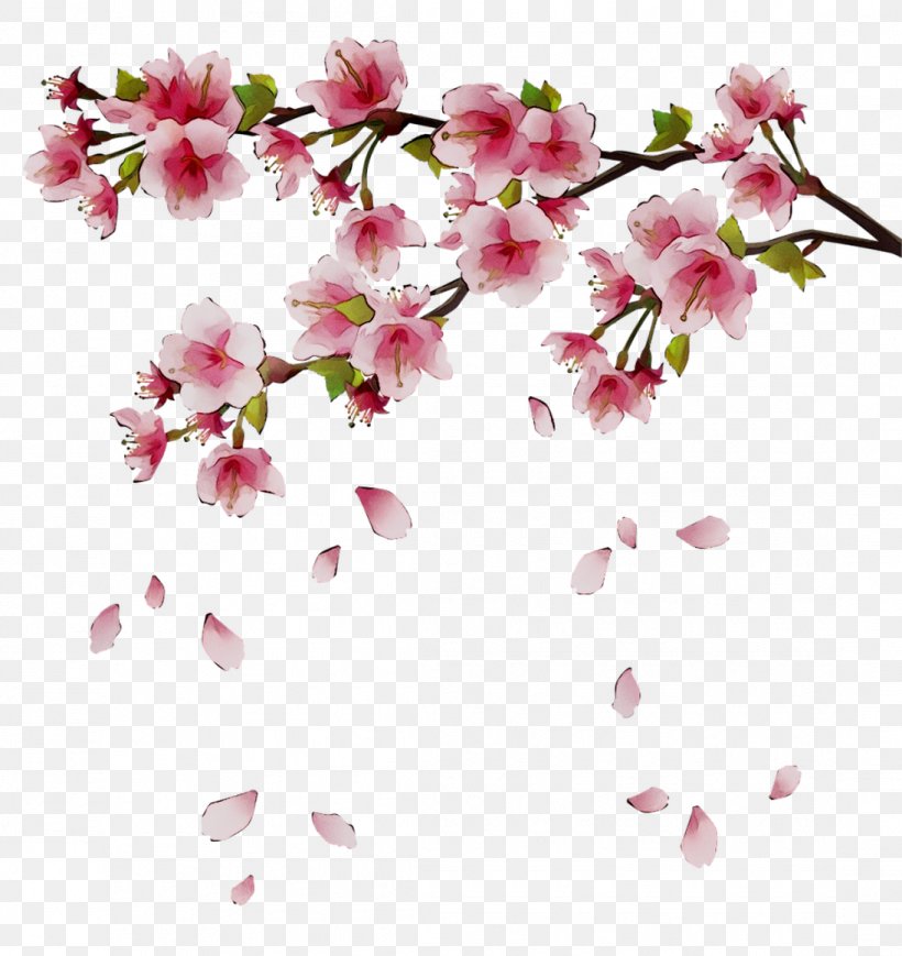 Clip Art Cherry Blossom Image, PNG, 1095x1161px, Blossom, Branch, Cherry Blossom, Drawing, Flower Download Free