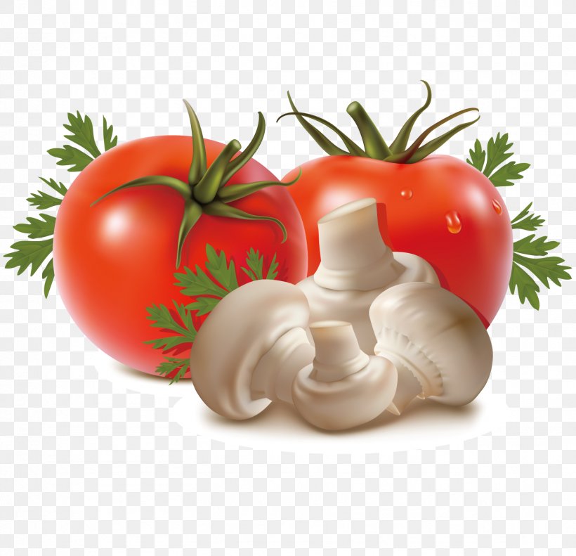 Vegetable Fruit Tomato Eggplant, PNG, 1556x1501px, Vegetable, Bildtafel Obst Und Gemxfcse, Capsicum, Diet Food, Eggplant Download Free