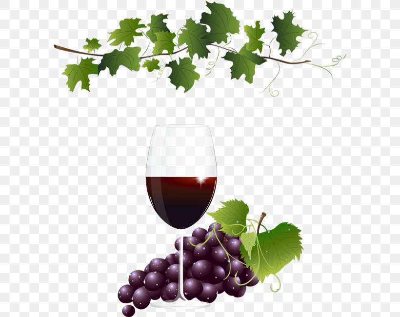 Wine Glass, PNG, 600x650px, Grape, Drink, Food, Glass, Grape Leaves Download Free