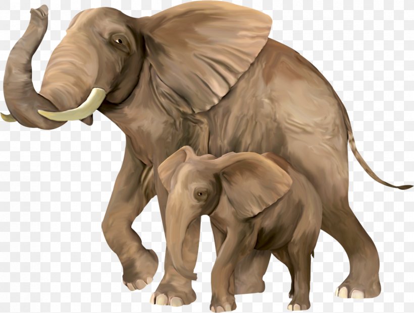 Asian Elephant Animal Elephantidae, PNG, 1249x946px, Asian Elephant, African Elephant, Animal, Digital Image, Dog Download Free