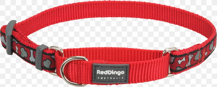Dog Collar Dingo Martingale, PNG, 3000x1211px, Dog, Clothing Accessories, Collar, Designerhunder, Dingo Download Free