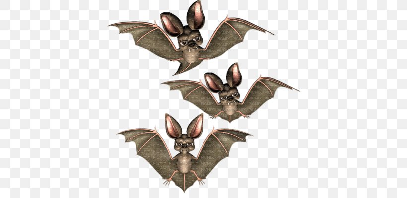 Halloween Bat Boszorkány, PNG, 400x400px, Halloween, Animal, Bat, Bayram, Black Cat Download Free