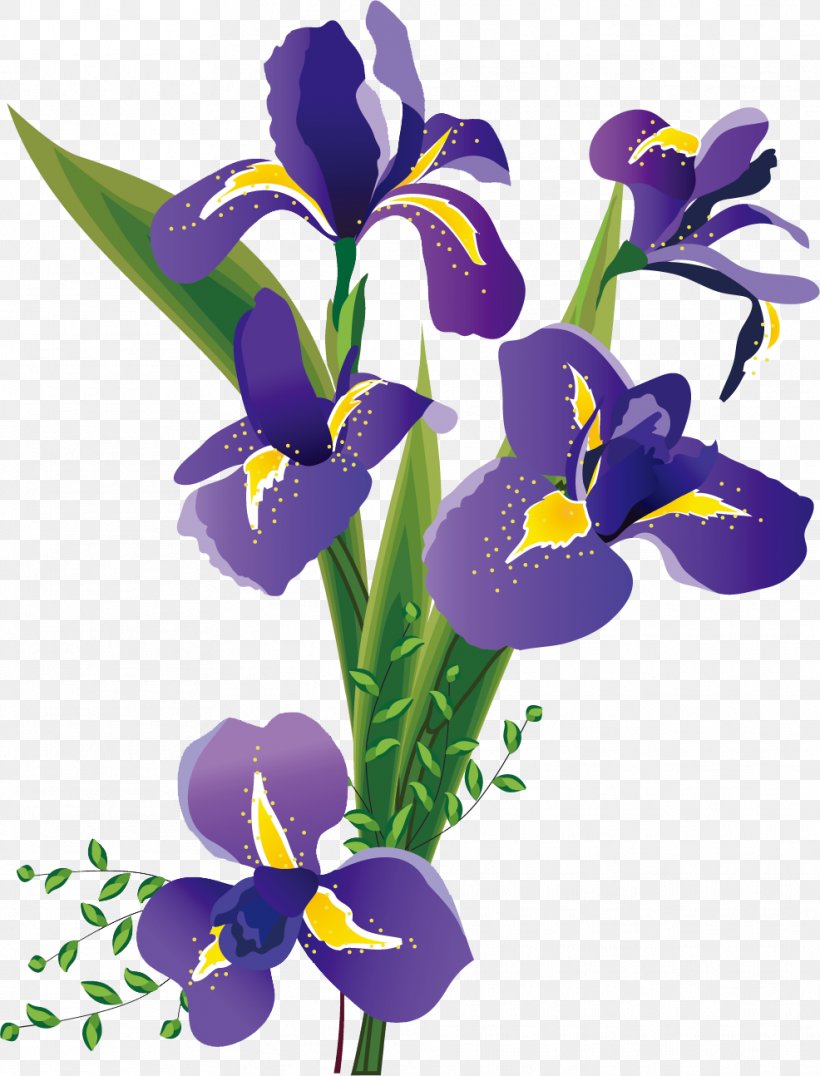 Northern Blue Flag Iris Flower Data Set Iris Family, PNG, 986x1294px, Northern Blue Flag, Art, Color, Cut Flowers, Flower Download Free