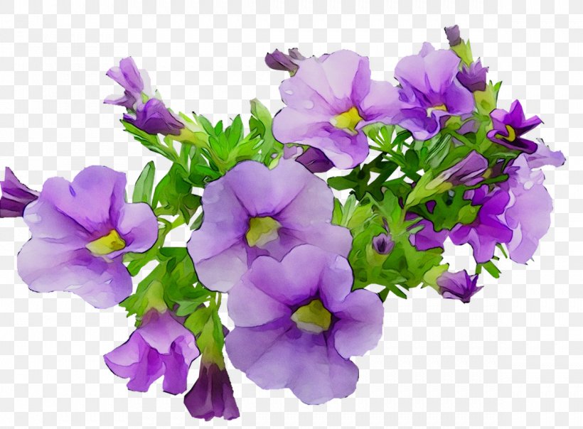 Annual Plant Primrose Plants, PNG, 1189x877px, Annual Plant, Artificial Flower, Bellflower, Bellflower Family, Bouquet Download Free