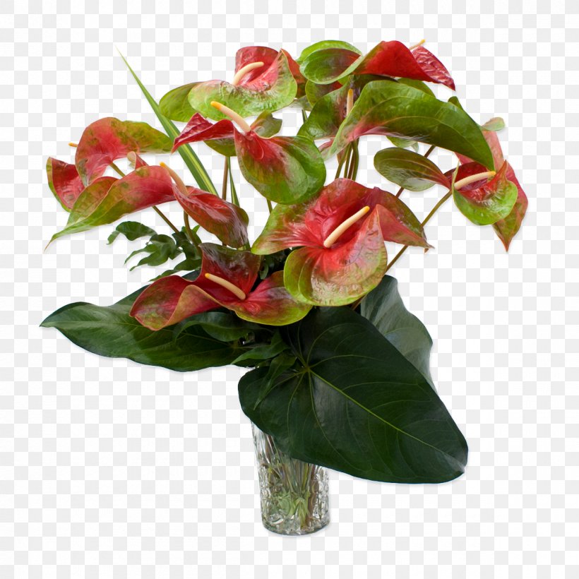 Anthurium Andraeanum Easter Lily Flower Rose Plant, PNG, 1200x1200px, Anthurium Andraeanum, Artificial Flower, Arumlily, Cut Flowers, Easter Lily Download Free