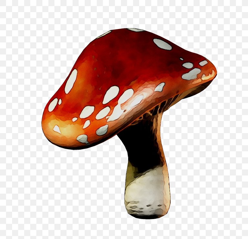 Common Mushroom Fungus Image, PNG, 800x790px, Mushroom, Agaric, Art, Cellophane Noodles, Ceramic Download Free