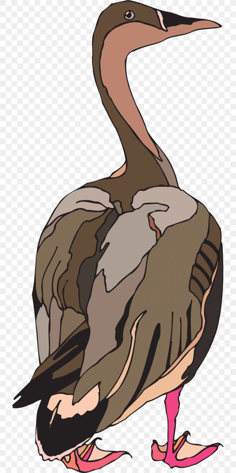 Duck Goose Clip Art, PNG, 960x1920px, Duck, Animal, Art, Beak, Bird Download Free
