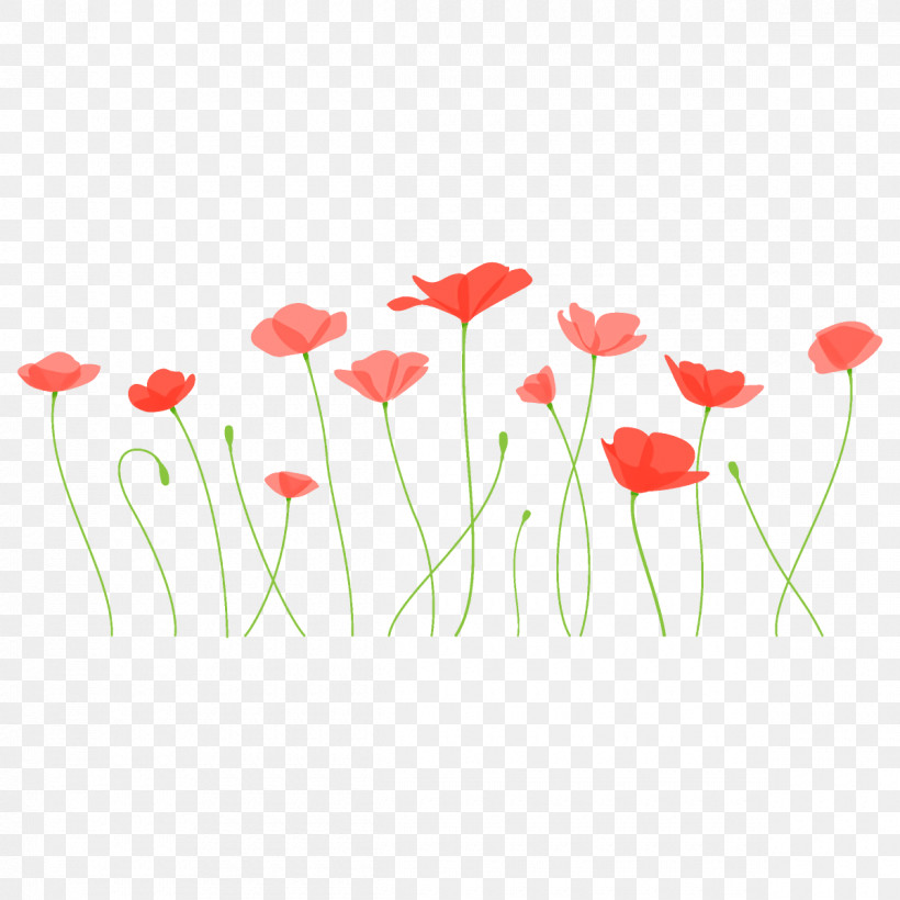 Poppy Flower, PNG, 1200x1200px, Poppy Flower, Coquelicot, Corn Poppy, Flower, Petal Download Free