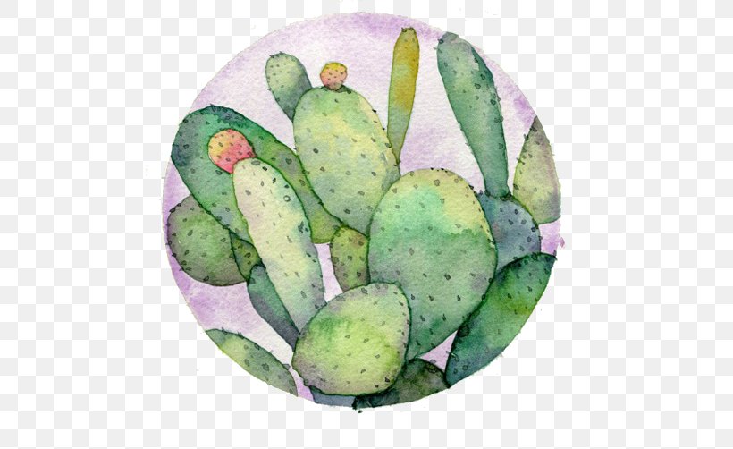 Watercolor: Flowers Watercolor Painting Drawing Cactaceae, PNG, 502x502px, Watercolor Flowers, Art, Barbary Fig, Botanical Illustration, Cactaceae Download Free