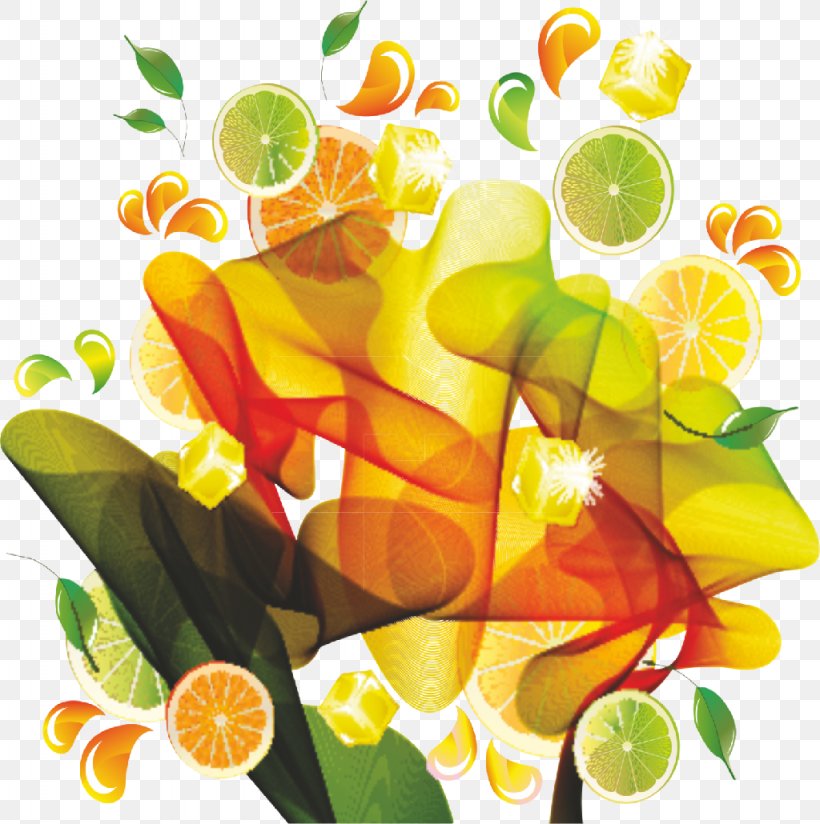 Orange Juice Lemon Grapefruit, PNG, 1024x1030px, Juice, Citrus, Drink, Floral Design, Flower Download Free