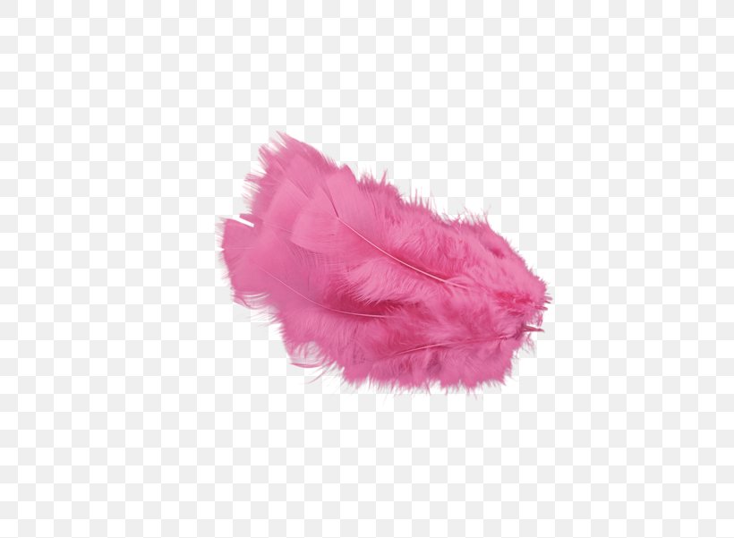 Pink Feather Clip Art, PNG, 800x601px, Pink, Cartoon, Feather, Fur, Greeting Card Download Free