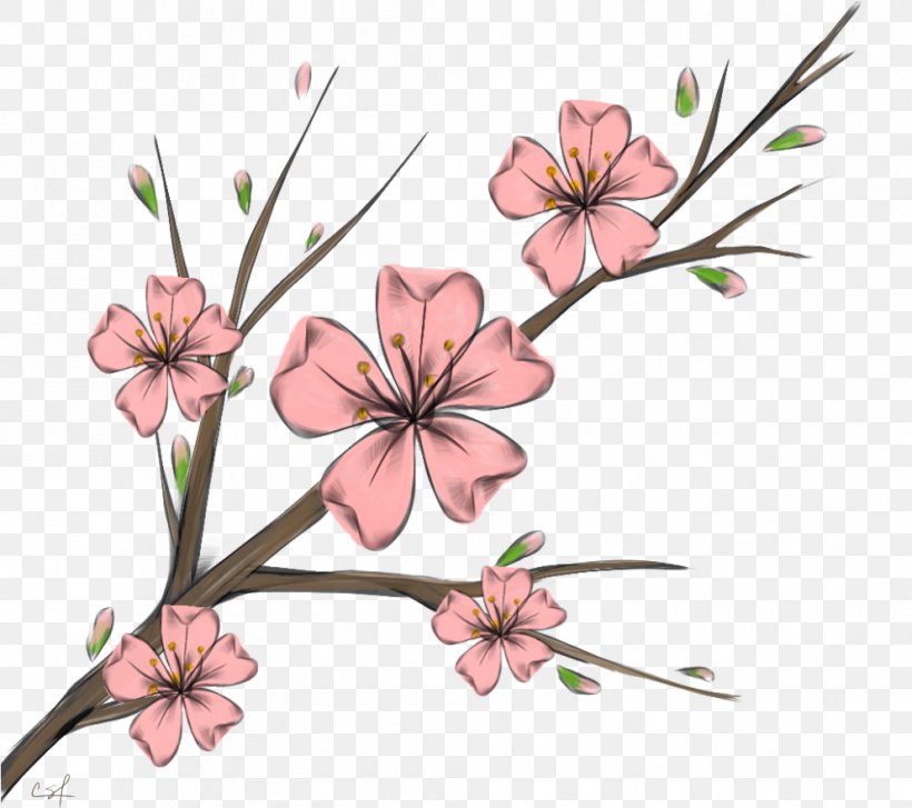 Cherry Blossom Background, PNG, 993x881px, Cherry Blossom, Blossom, Branch, Bts, Cherries Download Free