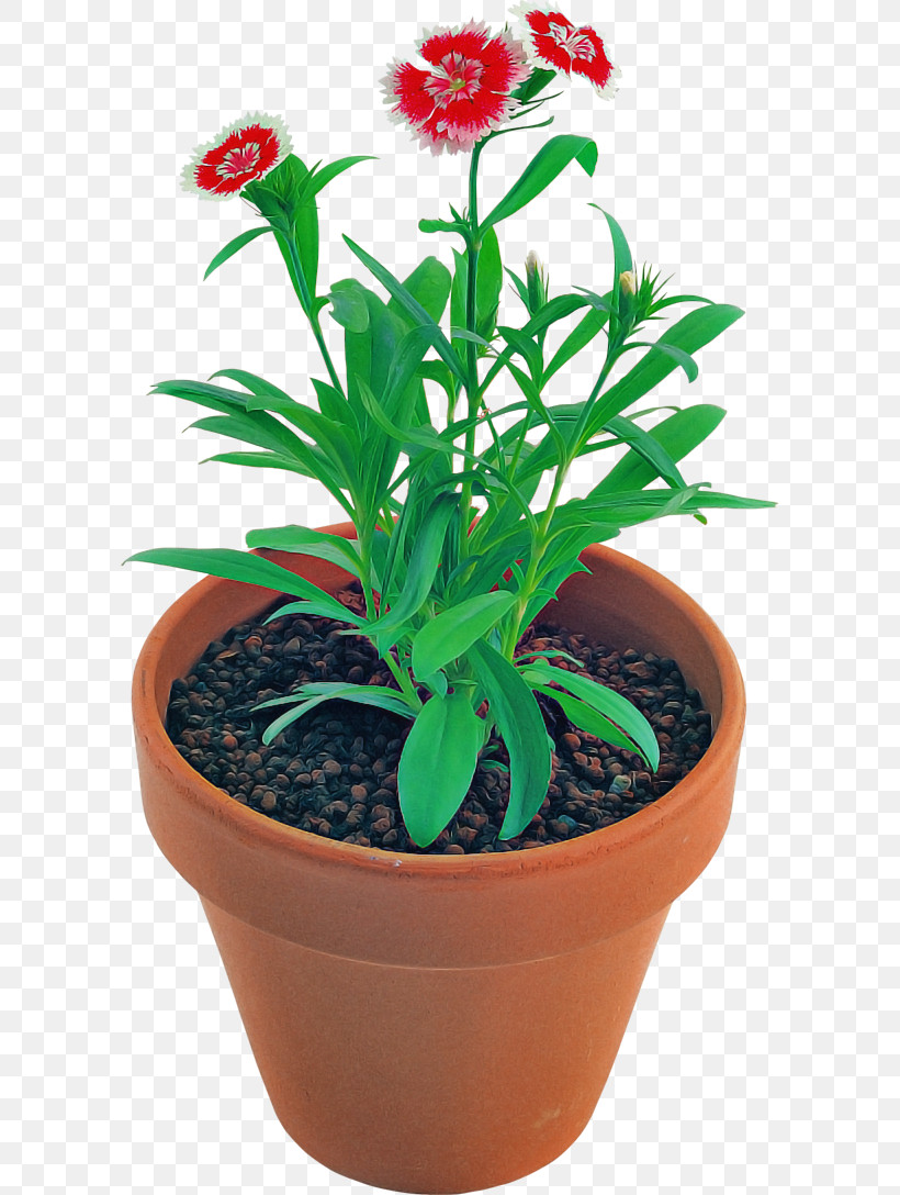 Flower Flowerpot Plant Houseplant Leaf, PNG, 600x1088px, Flower, Flowerpot, Herb, Houseplant, Leaf Download Free