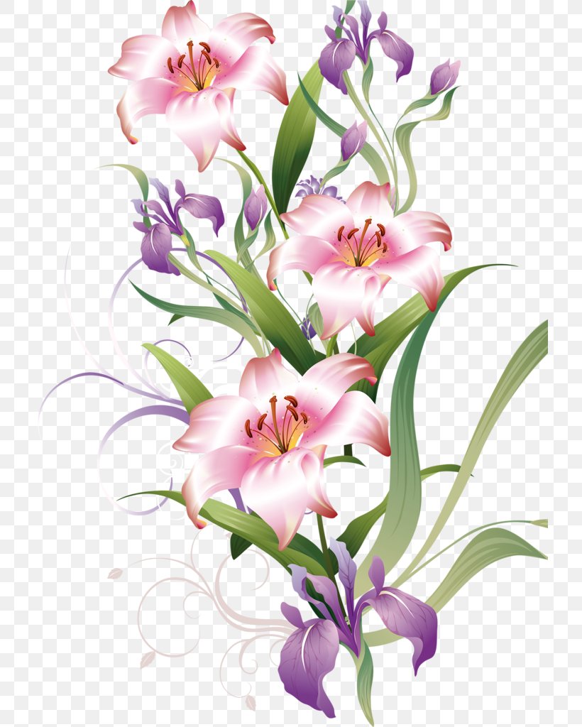 Bouquet Of Flowers Drawing, PNG, 725x1024px, Drawing, Bellflower Family, Bouquet, Cut Flowers, Dendrobium Download Free
