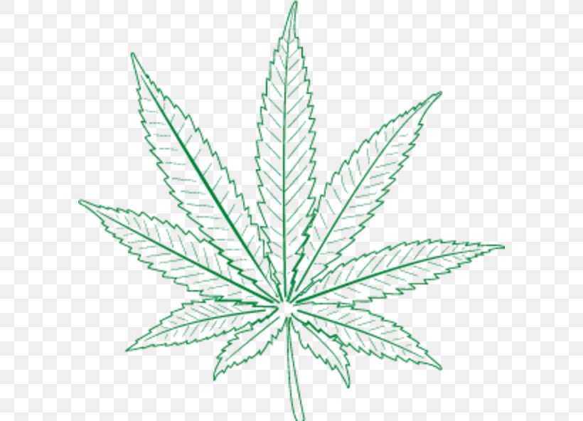 Cannabis Leaf Hemp Plant Stem Line, PNG, 600x592px, Cannabis, Flowering Plant, Grass, Hemp, Hemp Family Download Free