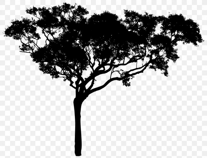 Tree Silhouette Clip Art, PNG, 1000x767px, Tree, Art, Black And White, Branch, Drawing Download Free