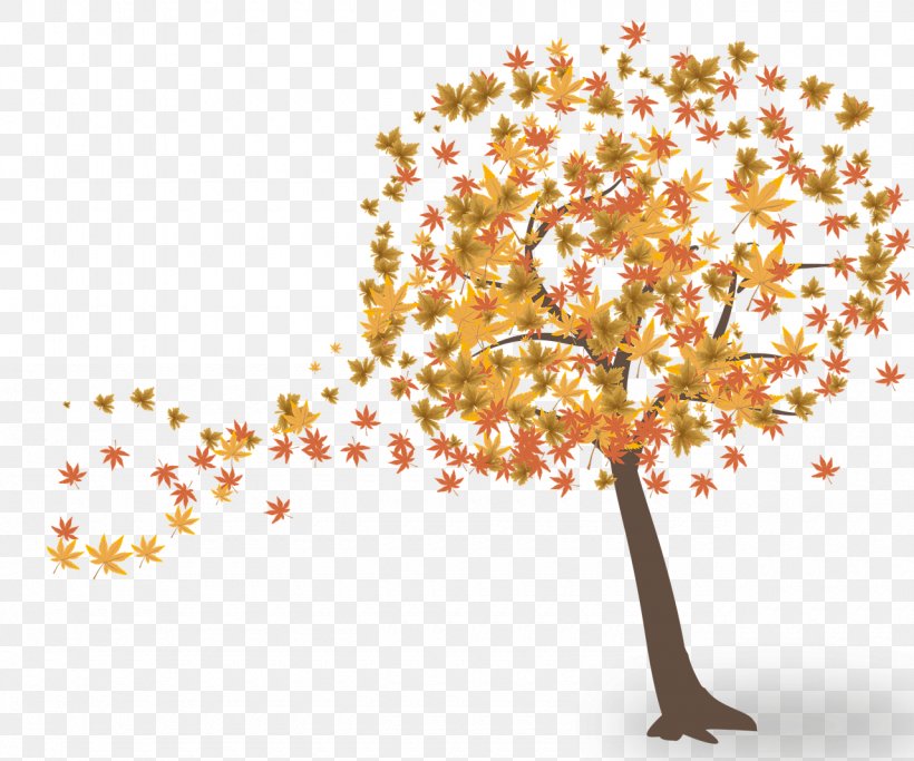 Autumn Leaf Color Genealogy Family Autumn Leaf Color, PNG, 1280x1067px, Autumn, Autumn Leaf Color, Branch, Daytime, Family Download Free