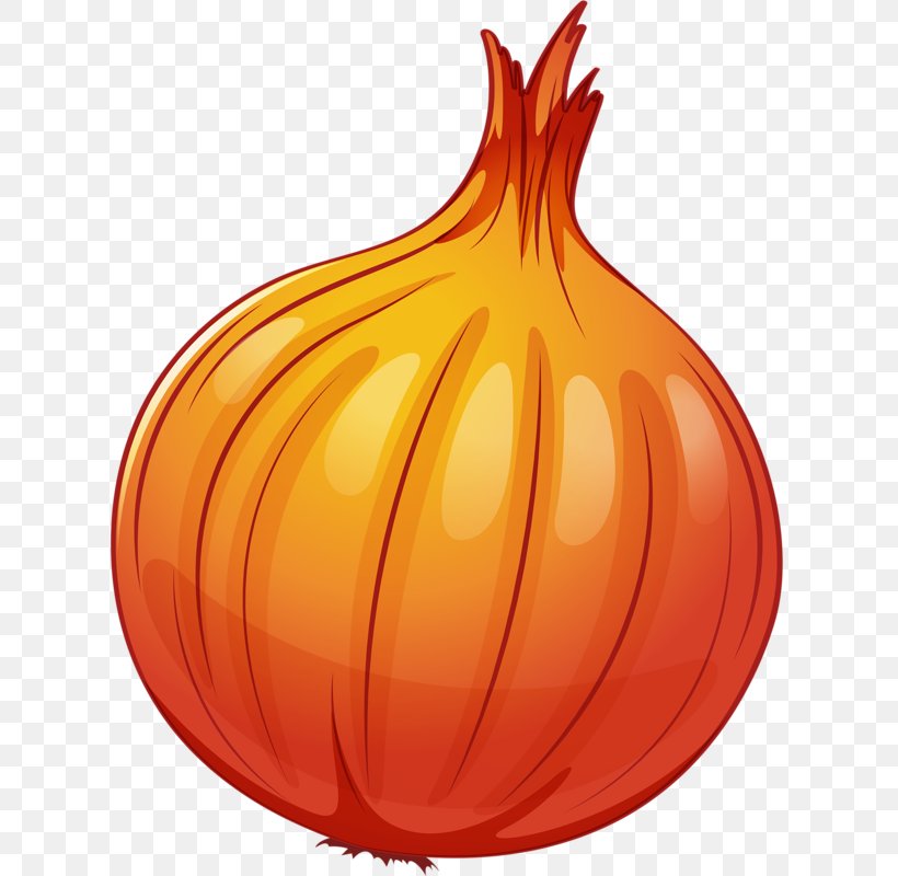 Clip Art, PNG, 639x800px, Vegetable, Calabaza, Cucurbita, Drawing, Flowering Plant Download Free