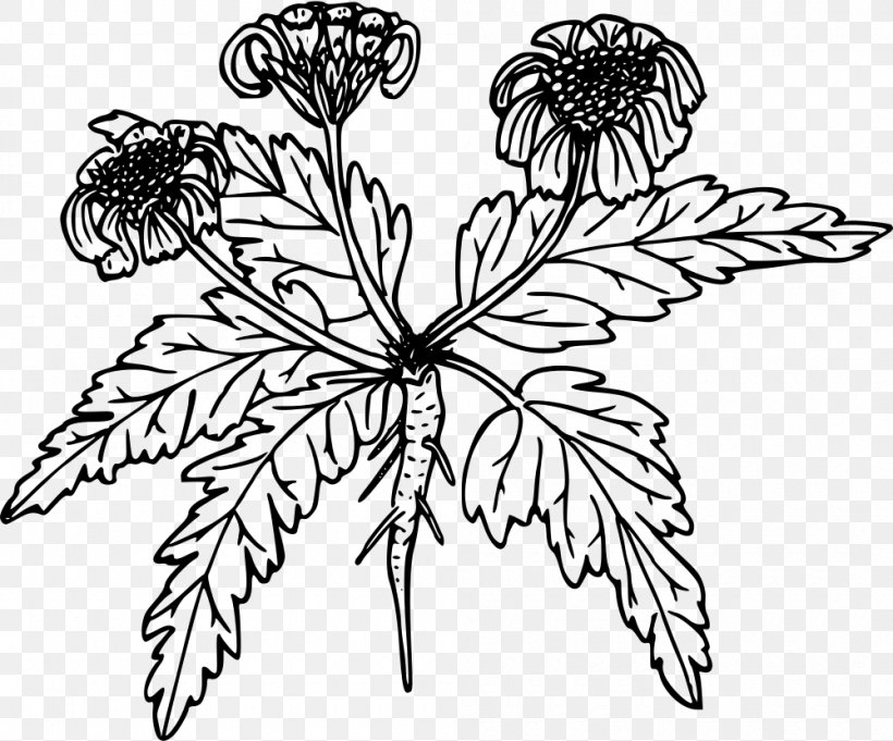 Clip Art, PNG, 1000x831px, Leaf, Artwork, Balsamorhiza, Black And White, Branch Download Free