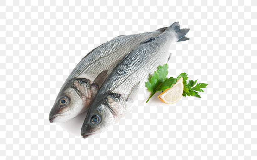 Fish Fish Fish Products Oily Fish Herring, PNG, 512x512px, Fish, Anchovy Food, Bass, Bonyfish, Capelin Download Free