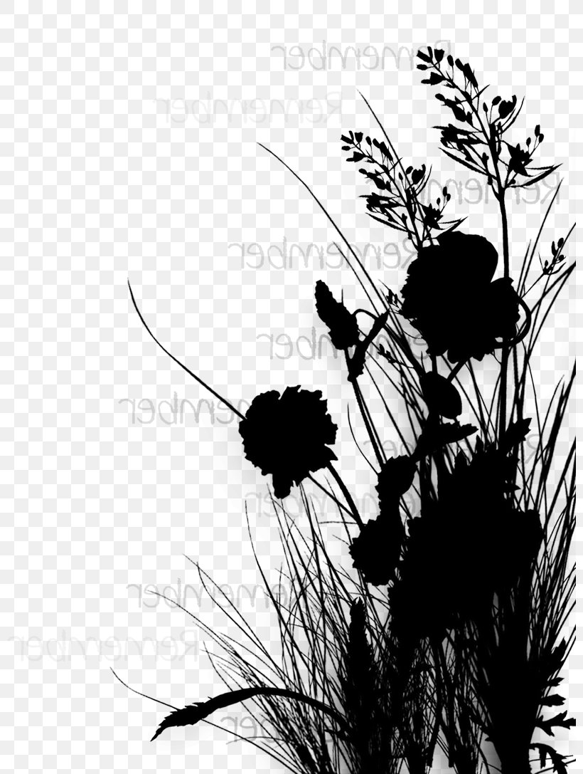 Insect Flowering Plant Silhouette Membrane, PNG, 800x1087px, Insect, Art, Blackandwhite, Botany, Branch Download Free