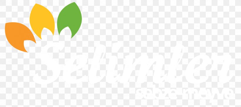 Logo Desktop Wallpaper Leaf Brand, PNG, 1687x754px, Logo, Brand, Computer, Flower, Grass Download Free