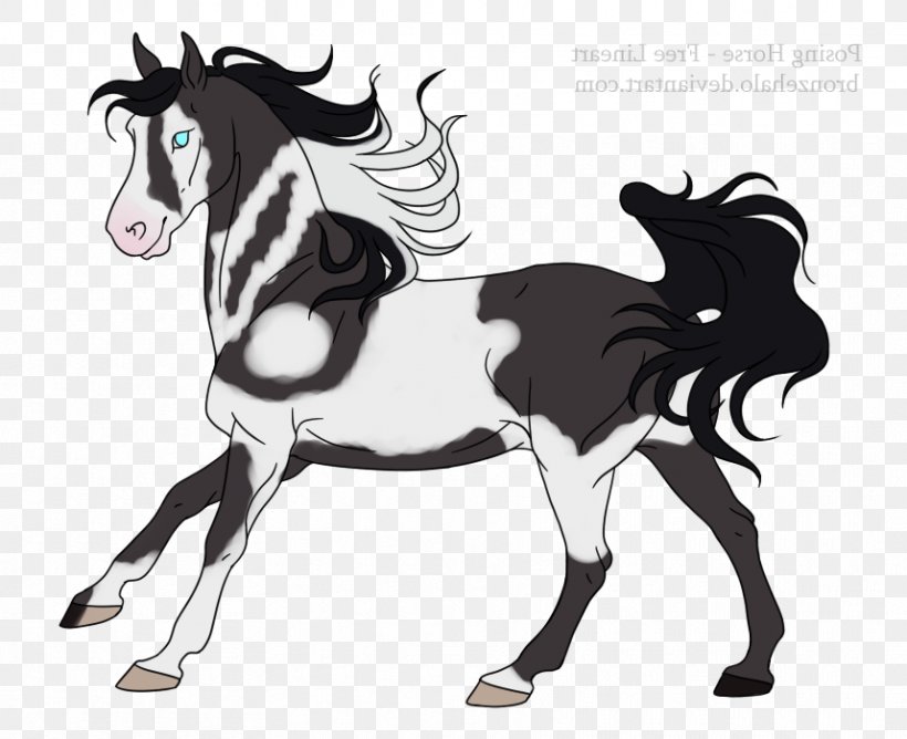Mane Mustang Foal Stallion Pony, PNG, 858x700px, Mane, Art, Black And White, Bridle, Cartoon Download Free