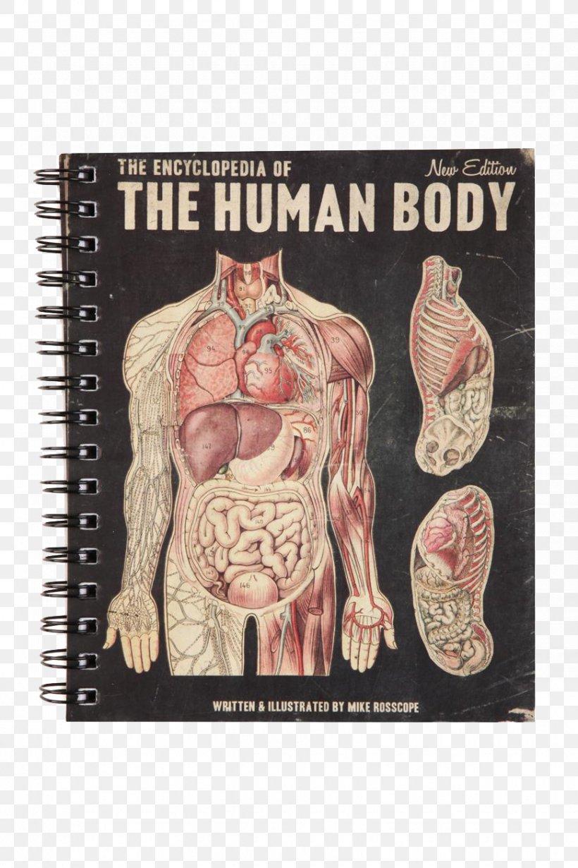 Notebook Stationery Human Anatomy Human Body, PNG, 870x1305px, Watercolor, Cartoon, Flower, Frame, Heart Download Free