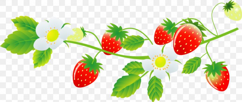 Strawberry Marimo Farm Food Daifuku いちご大福, PNG, 964x408px, Strawberry, Blog, Cooking, Cuisine, Daifuku Download Free