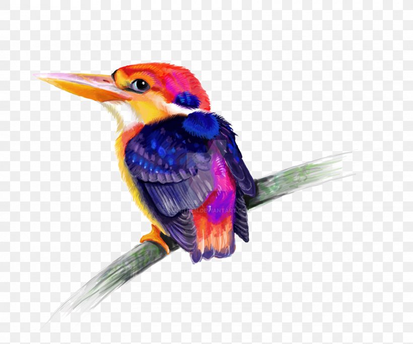 Bird Kingfisher, PNG, 1600x1333px, Bird, Beak, Coraciiformes, Fauna, Feather Download Free