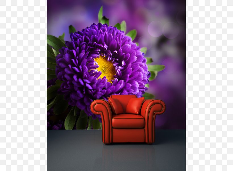 Desktop Wallpaper High-definition Television Purple Display Resolution, PNG, 600x600px, 4k Resolution, Highdefinition Television, Aster, Chrysanths, Cut Flowers Download Free