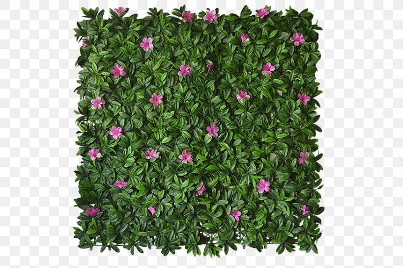 Follaje Green Wall Garden Tree Leaf, PNG, 875x582px, Follaje, Alibabacom, Annual Plant, Flower, Flowering Plant Download Free