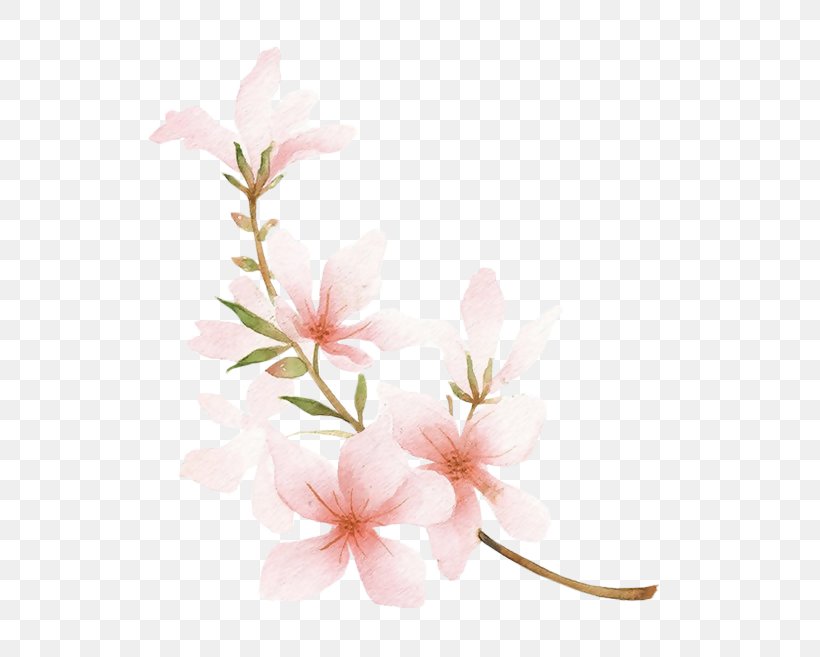Blossom Drawing Peach Watercolor Painting, PNG, 595x657px, Blossom, Art, Azalea, Branch, Cherry Download Free