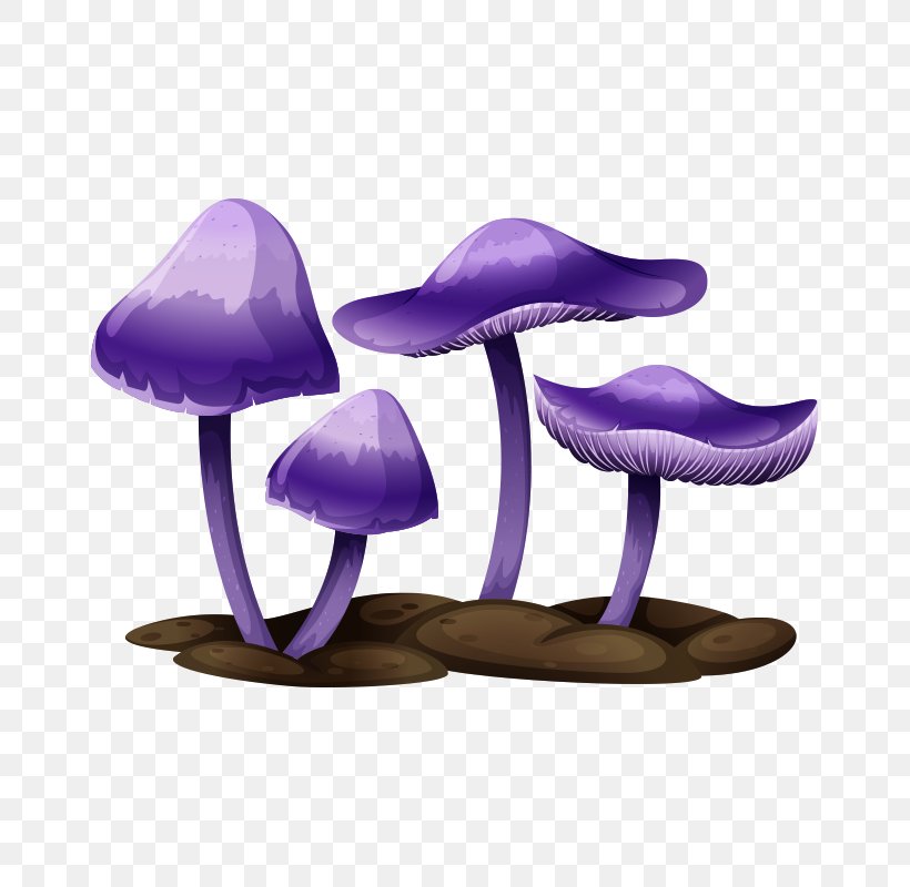 Edible Mushroom Drawing Illustration, PNG, 800x800px, Mushroom, Amanita Muscaria, Depositphotos, Drawing, Edible Mushroom Download Free