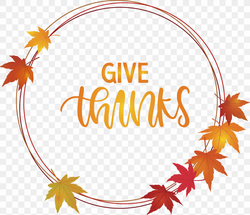 Thanksgiving Be Thankful Give Thanks, PNG, 2999x2578px, Thanksgiving, Be Thankful, Biology, Flower, Geometry Download Free