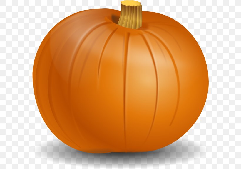 Zucchini Pumpkin Clip Art, PNG, 600x577px, Zucchini, Blog, Calabaza, Cucurbita, Cucurbita Pepo Download Free