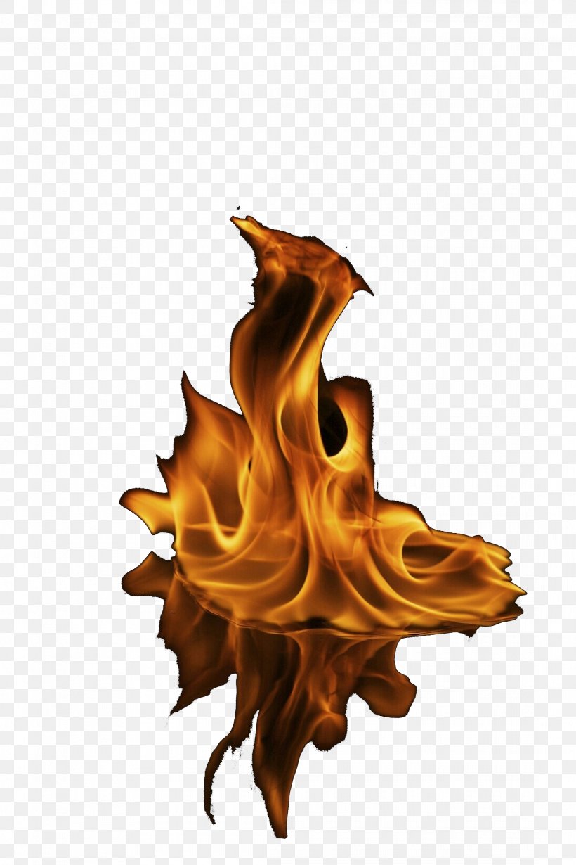 Flame Fire Tree Liquid, PNG, 2185x3278px, Cartoon, Fire, Flame, Liquid, Tree Download Free