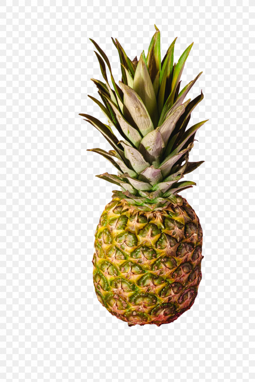 Pineapple, PNG, 1200x1800px, Pineapple, Banan, Biology, Flowerpot, Fruit Download Free