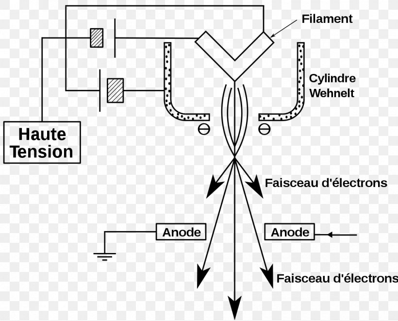 Scanning Electron Microscope Wehnelt Cylinder Electron Gun, PNG, 1200x968px, Watercolor, Cartoon, Flower, Frame, Heart Download Free