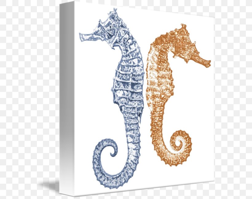 Seahorse Drawing Art Painting Syngnathiformes, PNG, 589x650px, Seahorse, Animal, Art, Drawing, Fine Art Download Free