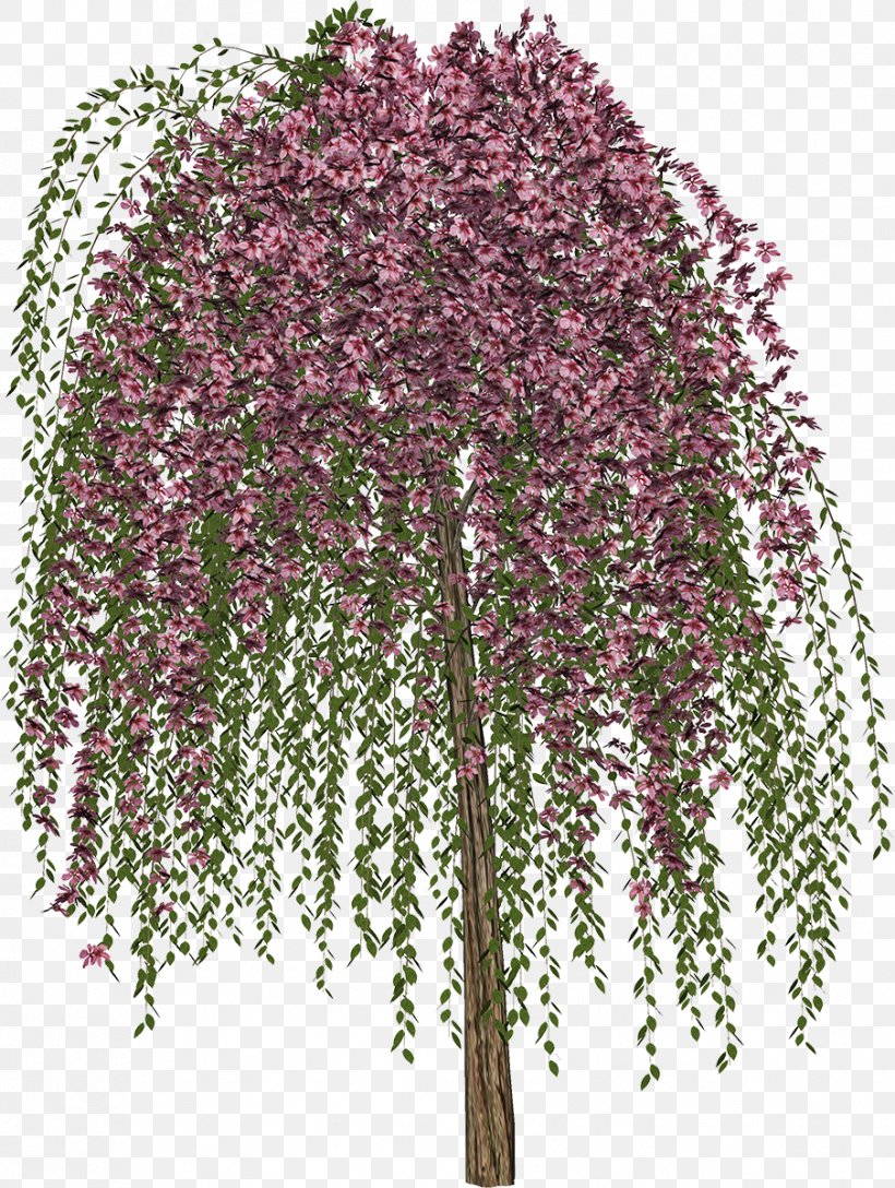 Tree Drawing, PNG, 904x1200px, Tree, Branch, Drawing, Floral Design, Flower Download Free