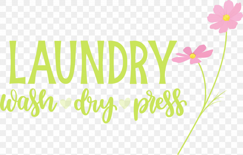 Floral Design, PNG, 3000x1919px, Laundry, Biology, Dry, Floral Design, Flower Download Free