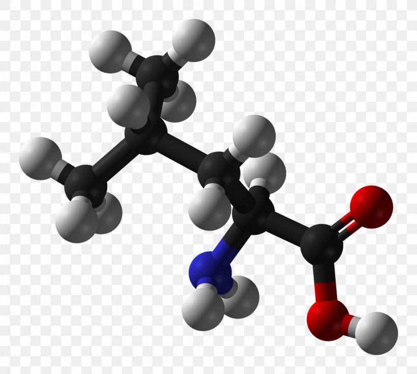 Amino Acid Molecule Protein Alanine, PNG, 1100x987px, Amino Acid, Acid, Alanine, Amine, Biomolecule Download Free