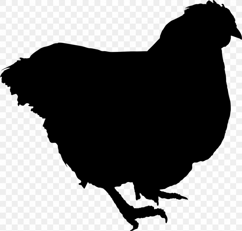 Chicken As Food Broiler Image, PNG, 1500x1432px, Chicken, Beak, Bird, Blackandwhite, Broiler Download Free