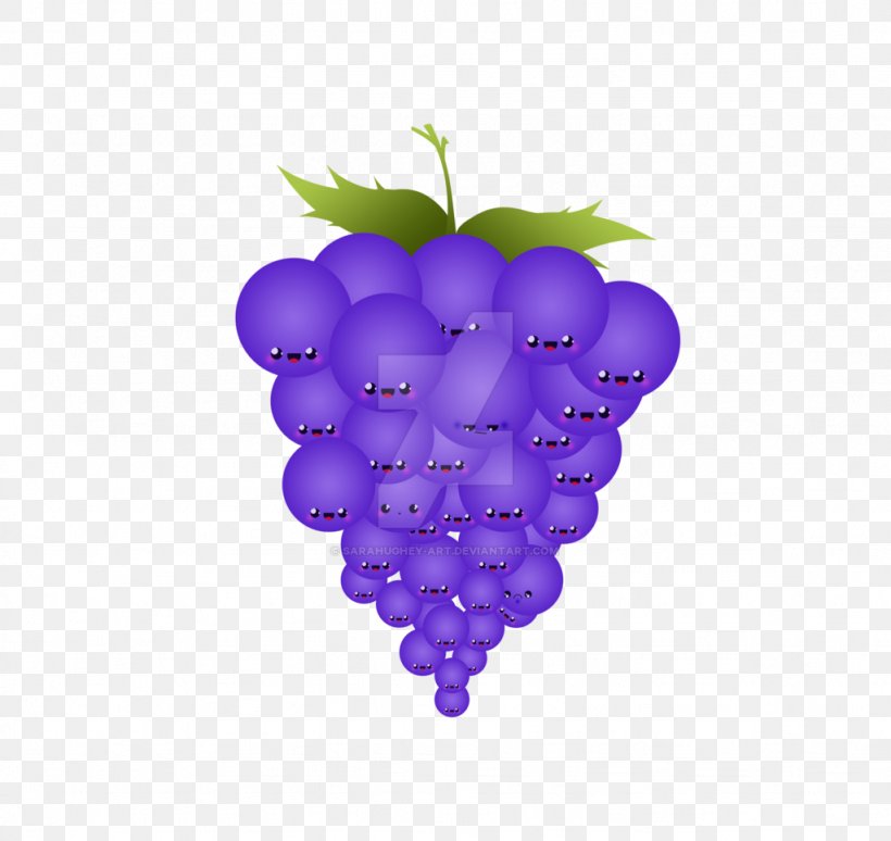 Common Grape Vine Clock Gelatin Dessert Fruit, PNG, 1024x967px, Grape, Clock, Common Grape Vine, Flowering Plant, Food Download Free