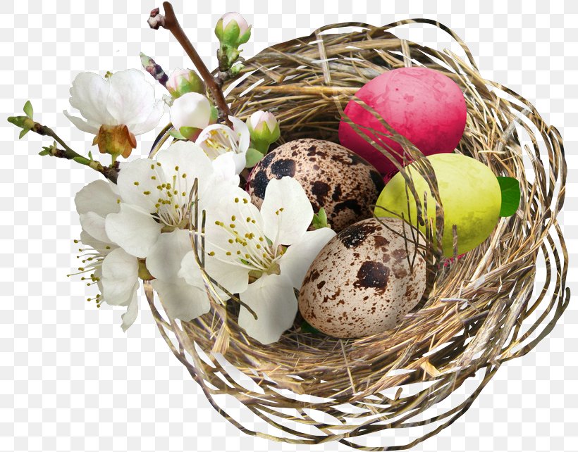 Easter Basket Easter Egg Bird, PNG, 800x642px, Easter, Basket, Bird, Bird Nest, Blog Download Free