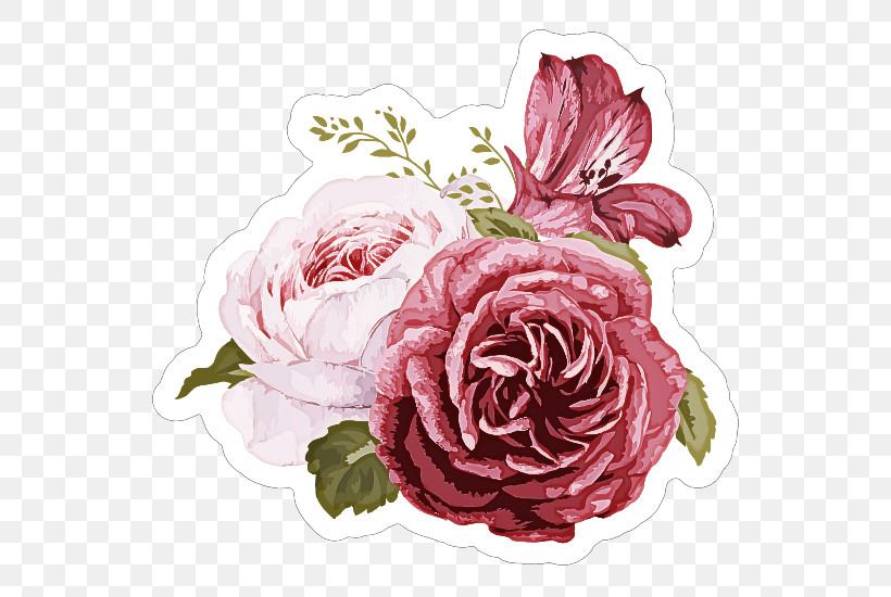Garden Roses, PNG, 550x550px, Garden Roses, Artificial Flower, Cabbage Rose, Cut Flowers, Floral Design Download Free