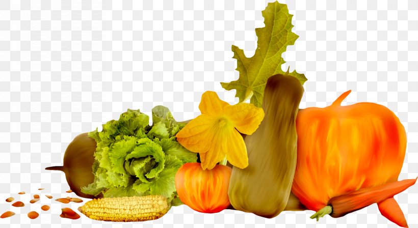 Gourd Winter Squash Vegetable Pumpkin Zucchini, PNG, 2024x1106px, Gourd, Calabaza, Cucumber Gourd And Melon Family, Cucurbita, Cucurbita Maxima Download Free